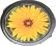 Lanzarote Blumen